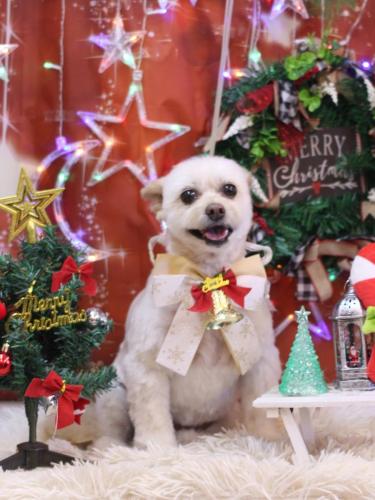 20231223ポンタくん